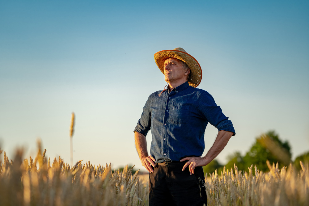 Produtor rural com chapéu de palha e camisa azul posa em meio a uma plantação de trigo, remetendo aos preparativos para a DITR 2026.