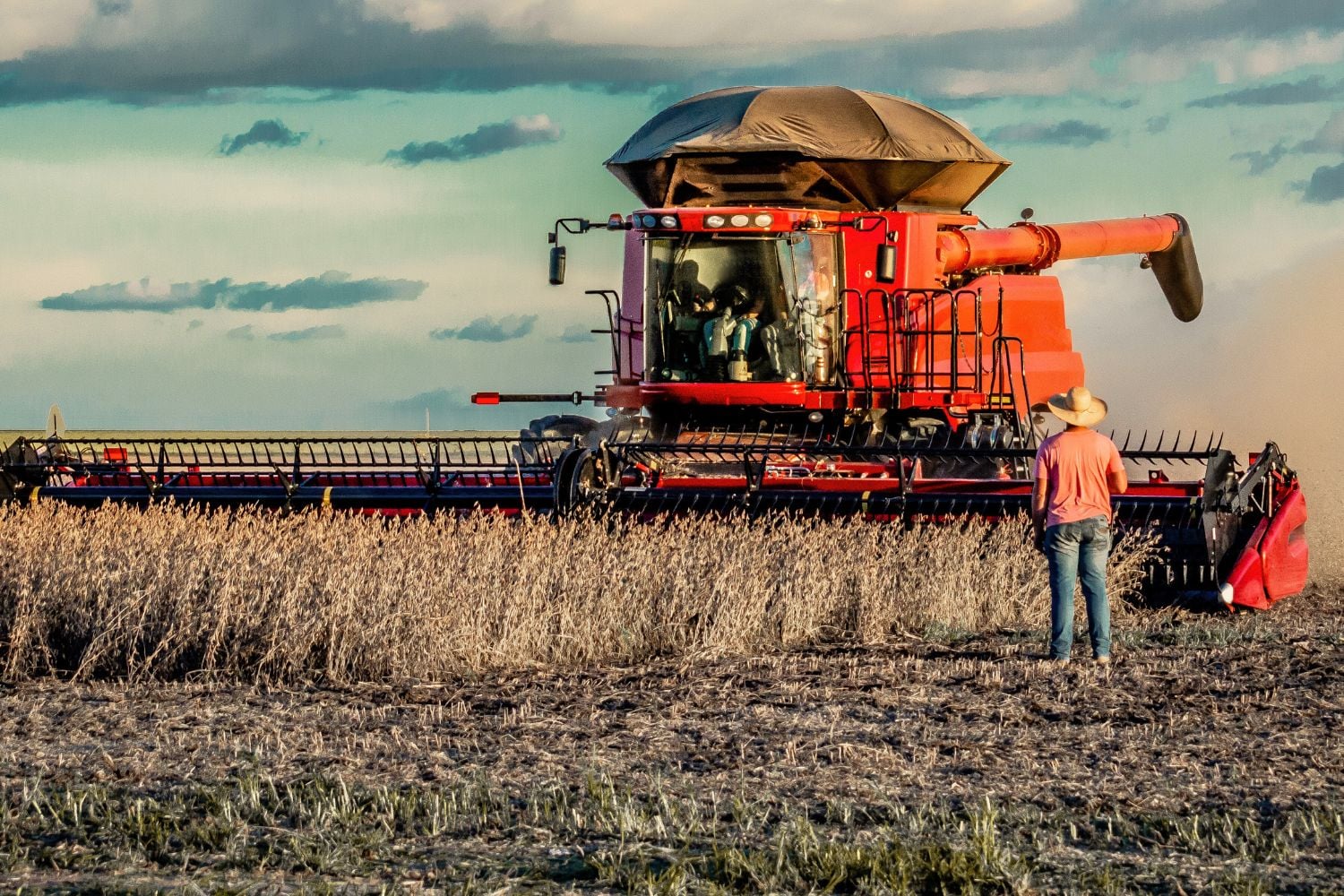 Produtor rural observa colheitadeira vermelha em lavoura, simbolizando a gestão empresarial no agronegócio e a recuperação judicial no agro.